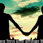 পিরোজপুর থানা পুলিশকে ঘুষ দিয়েও মামলার চার্জশীটে ব্যবসায়ীর নাম