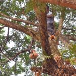 ঈদগাঁওতে ভয়াবহ অগ্নিকাণ্ড : চার লক্ষাধিক  টাকার ক্ষয়ক্ষতি