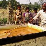 সুয়েজ খালে জাহাজ চলাচল ৪২ শতাংশ কমেছে : জাতিসংঘ