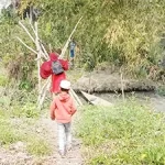 সরকারিভাবে মডেল মসজিদ নির্মাণ সংবিধান পরিপন্থী : শাহরিয়ার কবির