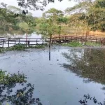 ইরানের প্রেসিডেন্ট নির্বাচন ২৮ জুন
