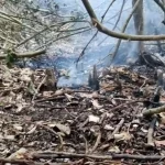 মন্ত্রী-এমপির স্বজনদের বিরত রাখা নীতিগত সিদ্ধান্ত:  ওবায়দুল কাদের