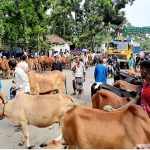 মাদারীপুরে ইতালির ভুয়া ভিসা দিয়ে কোটি টাকা নিয়ে লাপাত্তা প্রতারকচক্র
