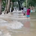 ভরাডুবি হতে পারে মমতার তৃণমূলের