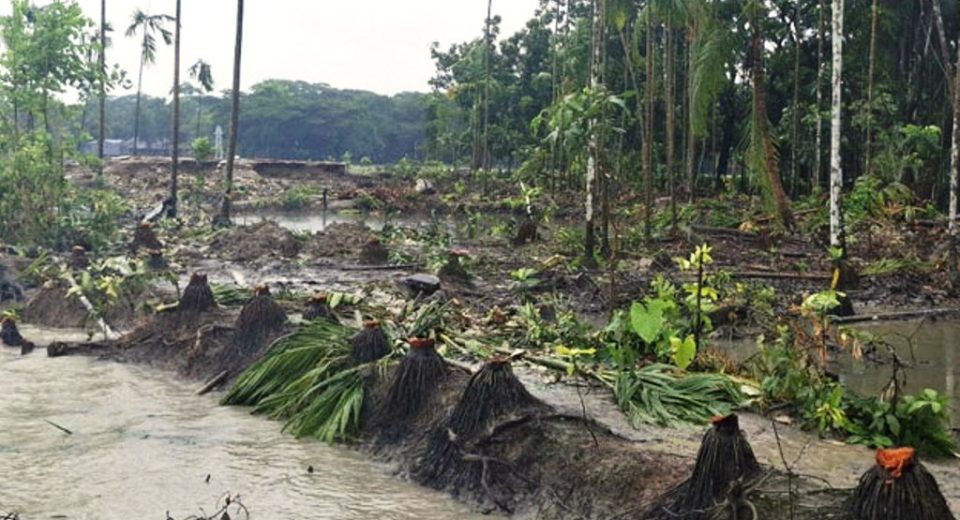 কালাবদর ও তেঁতুলিয়া নদীর ভাঙনে বিলীনের পথে শ্রীপুর ইউনিয়ন 9 25 07 24 BN24 Cover 1