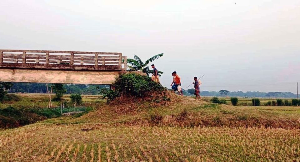 Nandail Picture 01 31 6828a6444a010 1