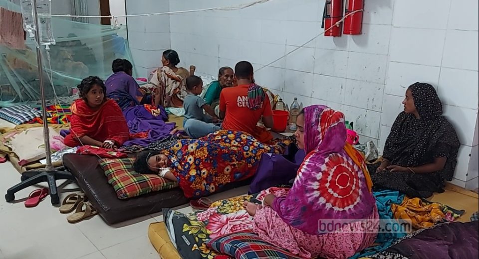 barguna dengue