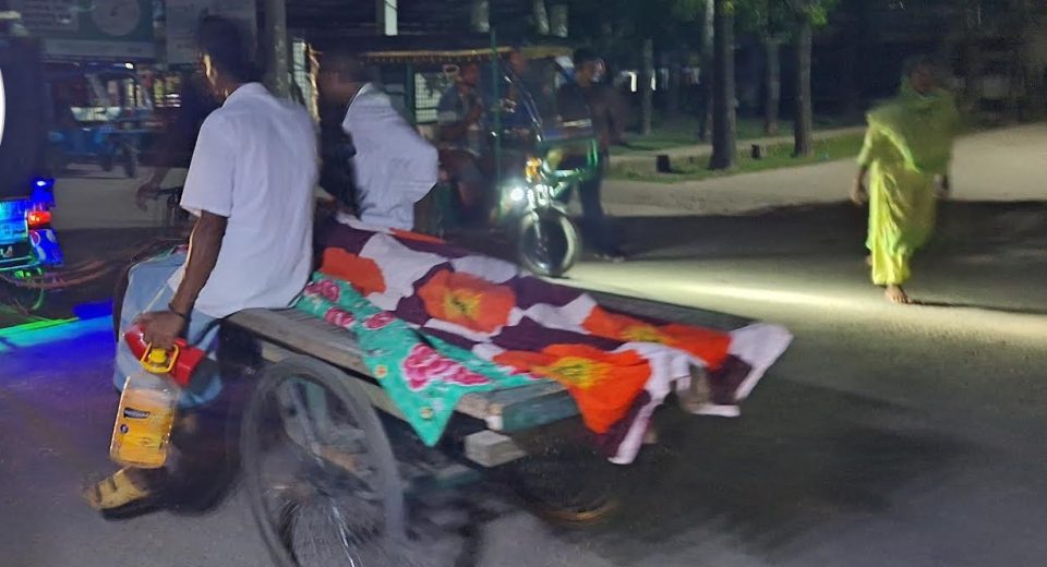 dengu barguna