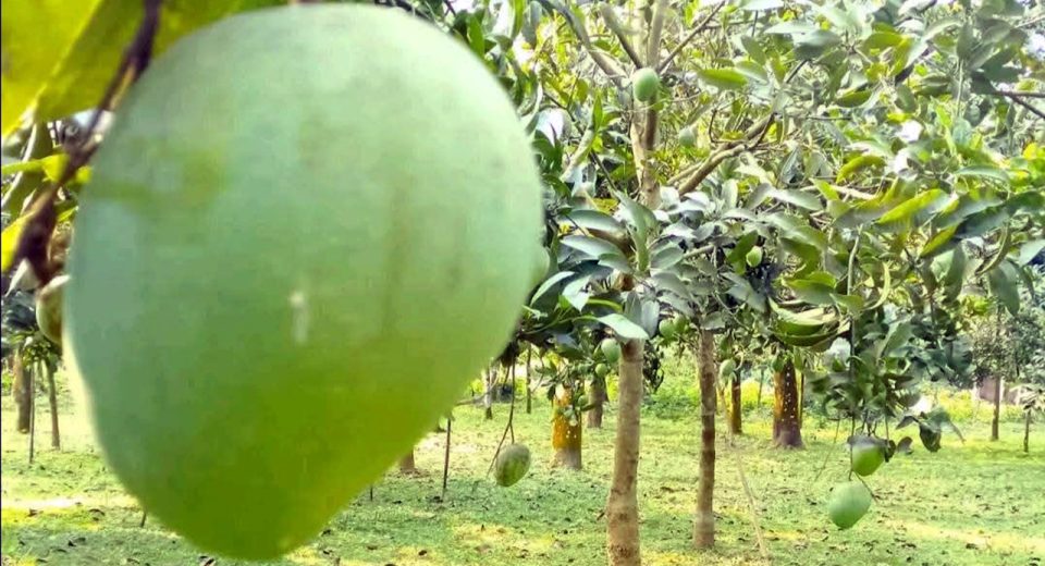 rangpur02 20250614103435