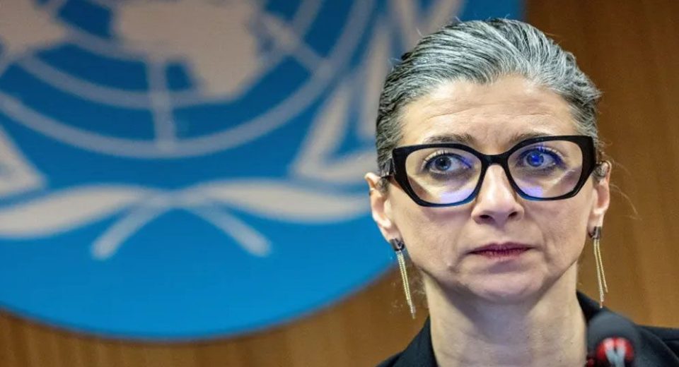 UN EXPERT 686f416898033