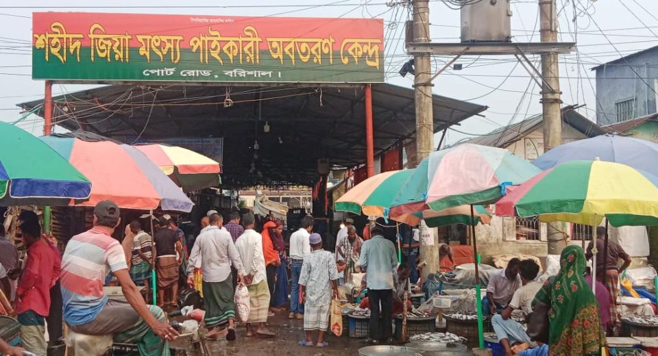 শহীদ জিয়া পাইকারি মৎস্য বাজার