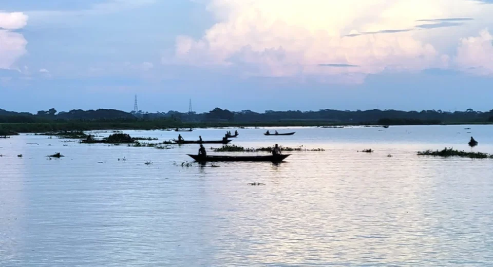 অবাধে ইলিশ শিকার